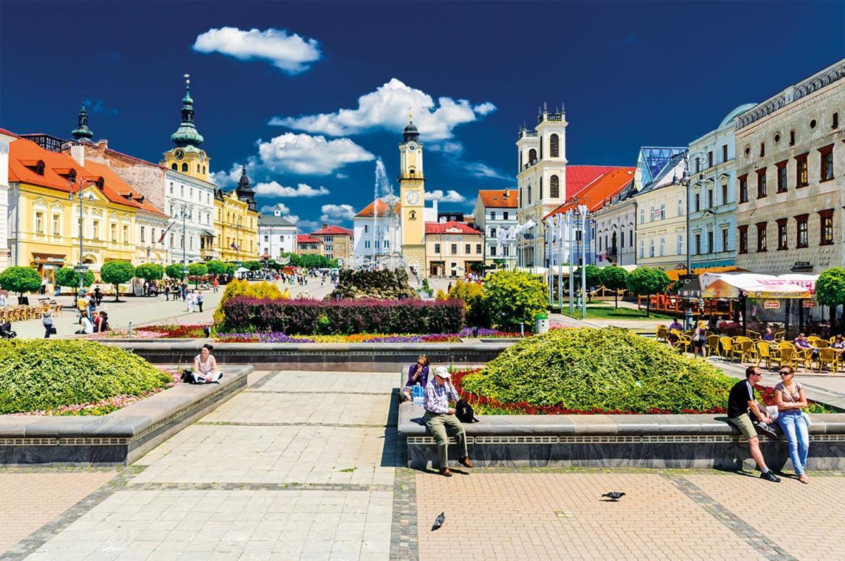 Apartman Terminal, Self Check-In 24 H, Free Parking Banská Bystrica Exteriör bild